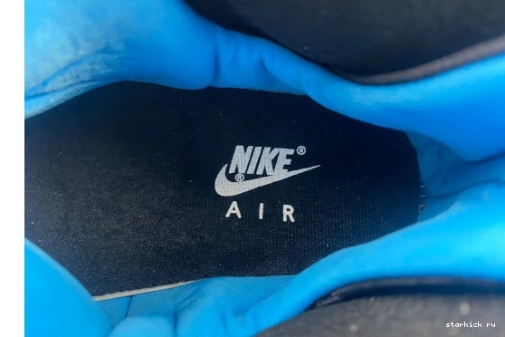  302370-103 Jordan  302370-103 9 Powder Retro 1227